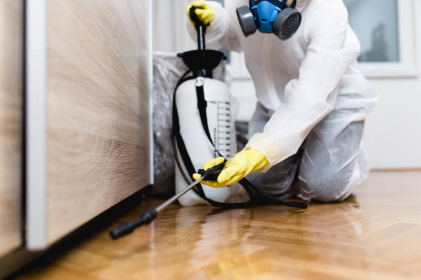 Best Pest Control Near Me  in Ebensburg, PA