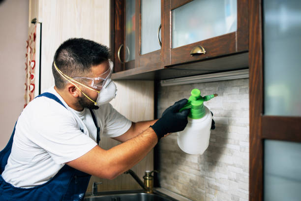 Best Commercial Pest Control Services  in Ebensburg, PA