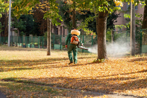 Best Affordable Pest Control Services  in Ebensburg, PA